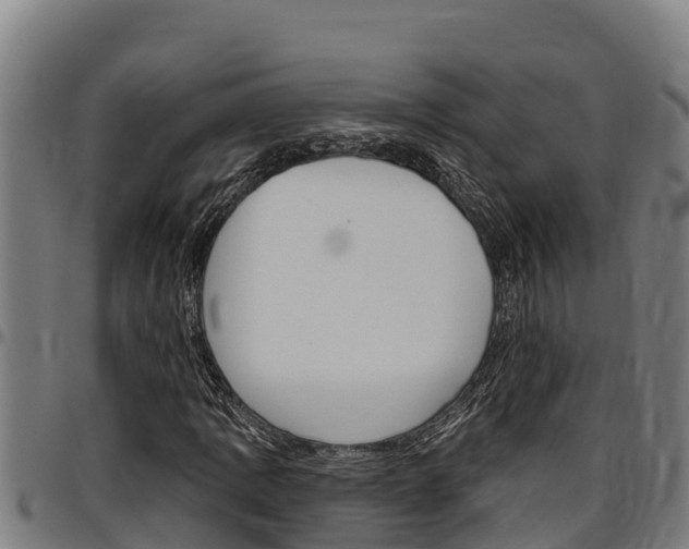 X0000097511109200802220858