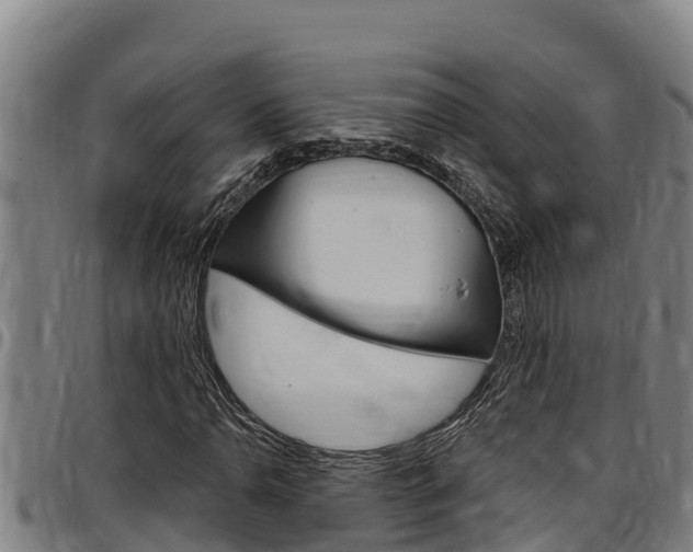X0000097511110200802220858