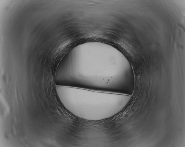 X0000097511111200802220858
