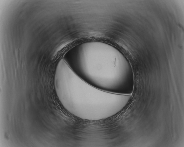 X0000097511112200802220858