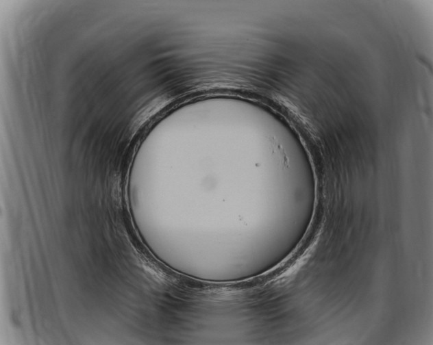 X0000097511113200802220858