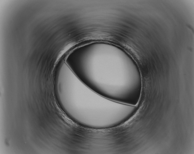 X0000097511114200802220859