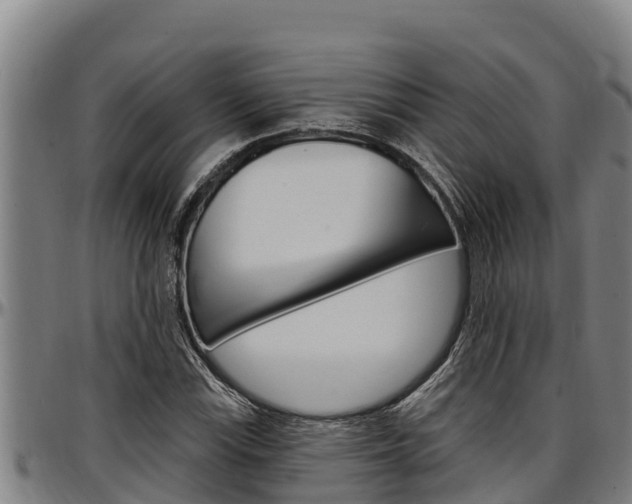 X0000097511115200802220859