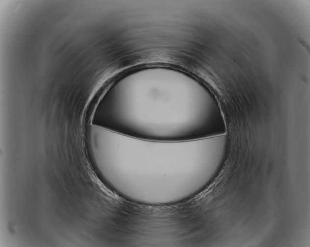X0000097511116200802220859