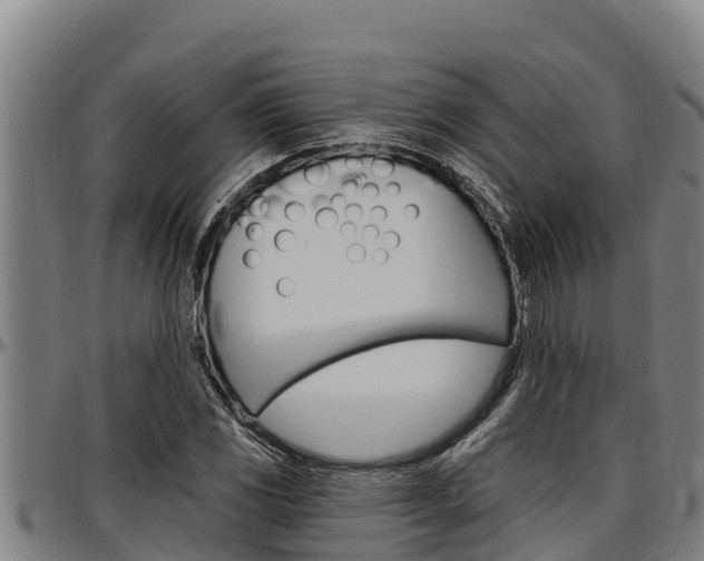 X0000097511117200802220859