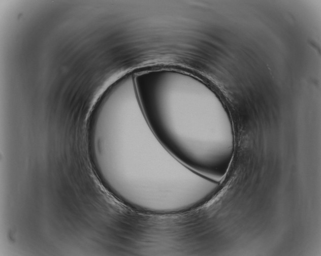 X0000097511118200802220859