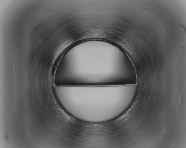 X0000097511119200802220859