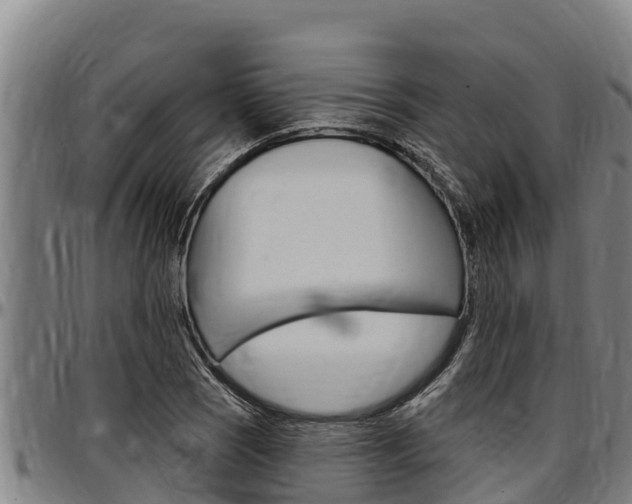 X0000097511121200802220859