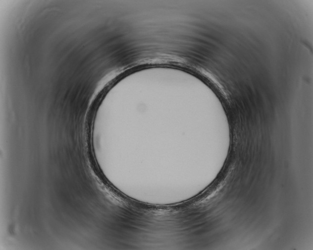 X0000097511122200802220859