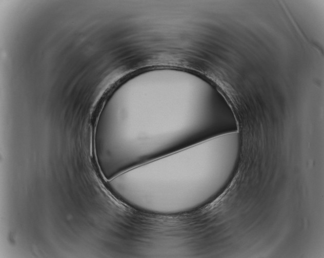 X0000097511123200802220859