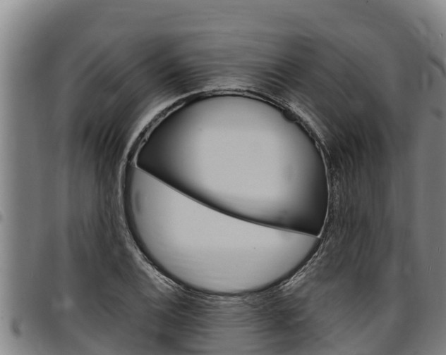 X0000097511124200802220859