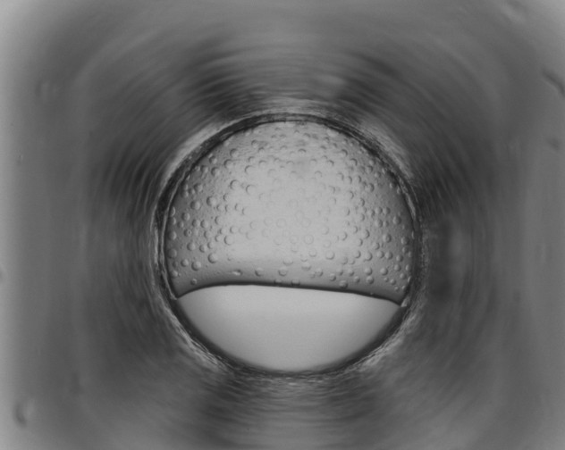 X0000097511125200802220859