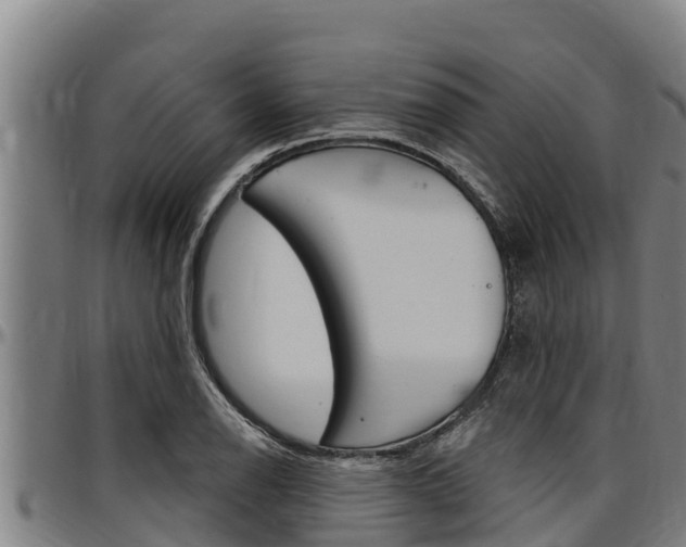 X0000097511126200802220859