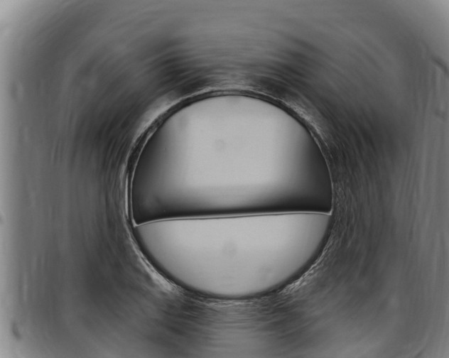 X0000097511127200802220859