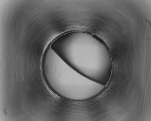 X0000097511128200802220859