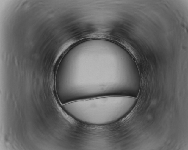 X0000097511131200802220859