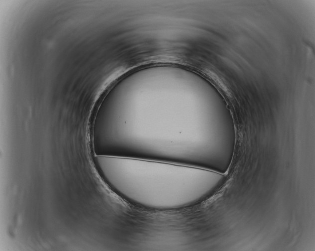 X0000097511133200802220859