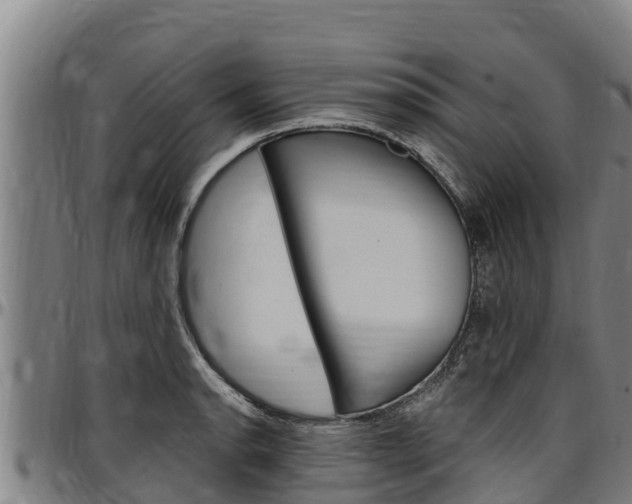 X0000097511134200802220859