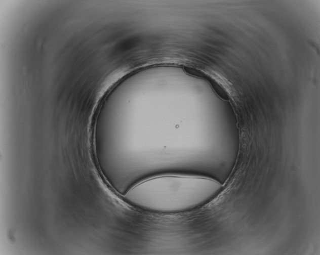 X0000097511135200802220859