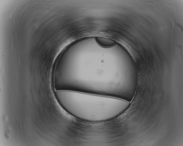 X0000097511139200802220859
