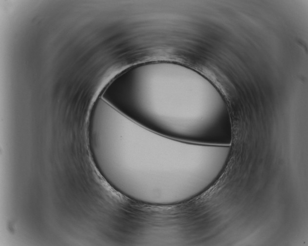 X0000097511140200802220859
