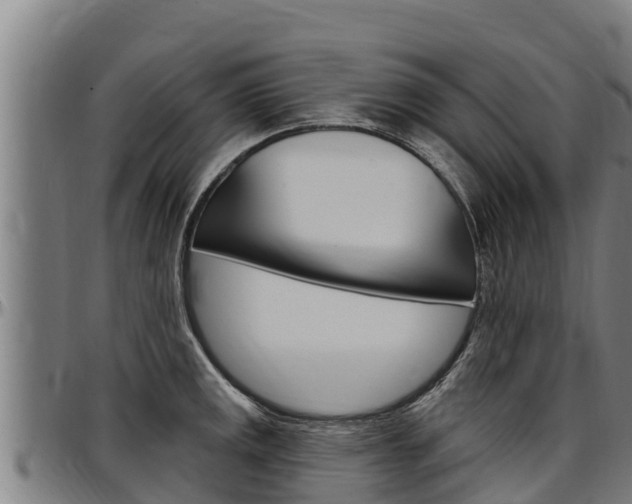 X0000097511141200802220859