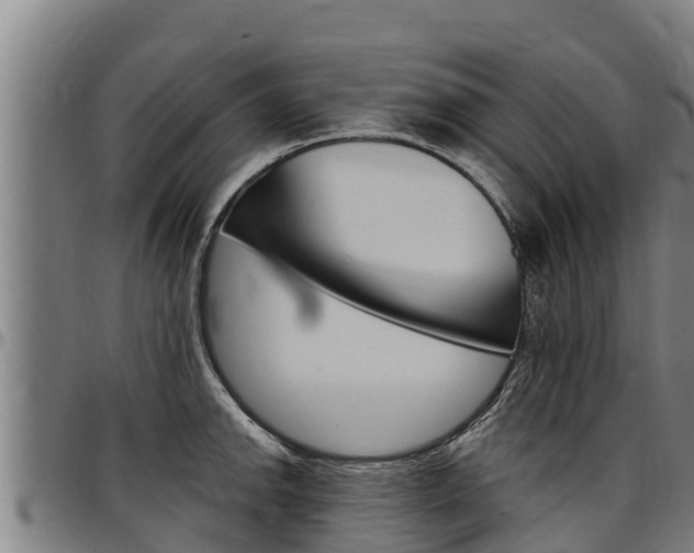 X0000097511142200802220859