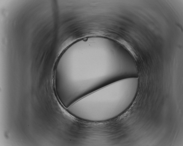 X0000097511143200802220859