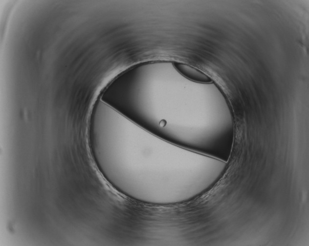 X0000097511144200802220859