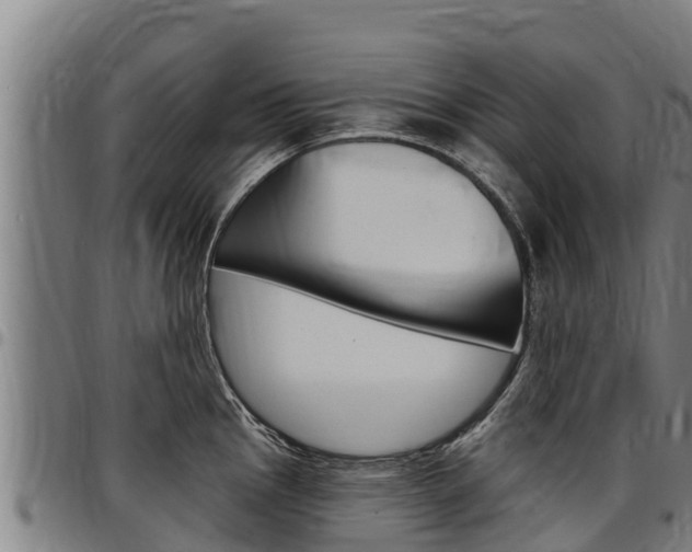 X0000097511145200802220859