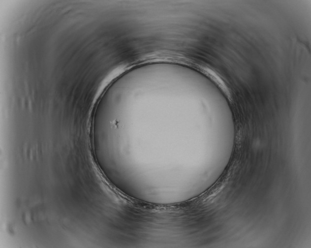 X0000097511146200802220859