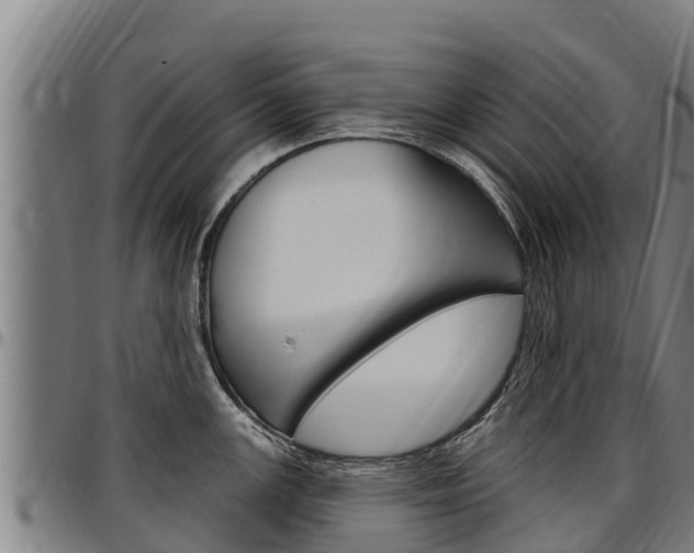 X0000097511147200802220859