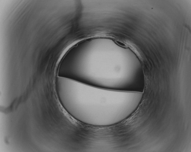 X0000097511148200802220859