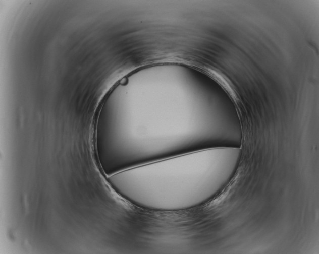 X0000097511149200802220859