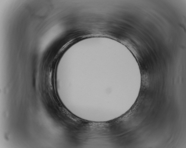 X0000097511150200802220859