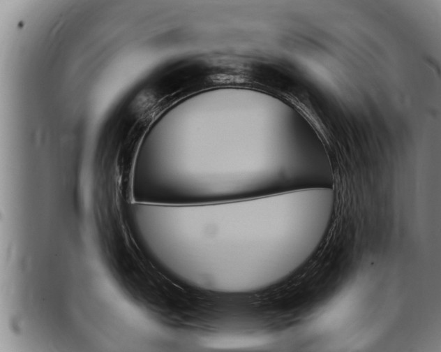 X0000097511151200802220859