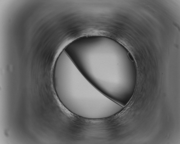 X0000097511152200802220859
