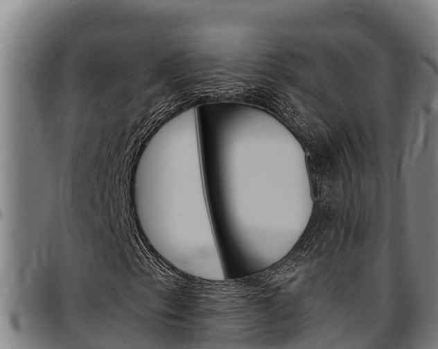 X0000097511153200802220858