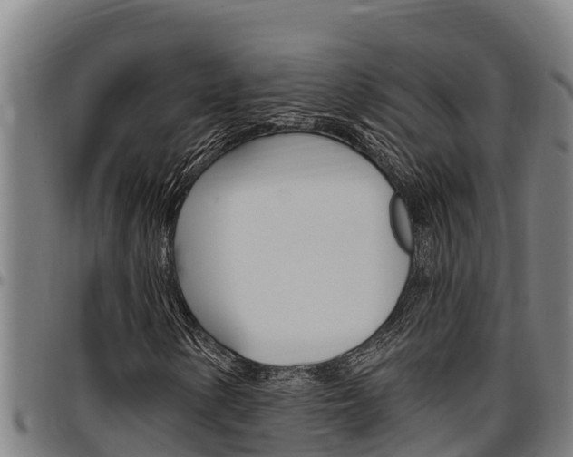 X0000097511154200802220858