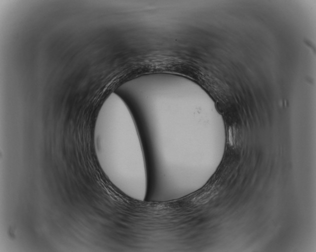 X0000097511155200802220858