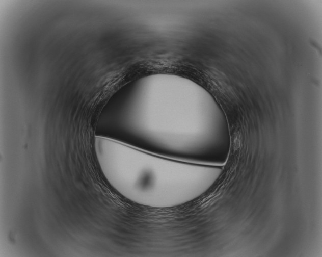 X0000097511156200802220858
