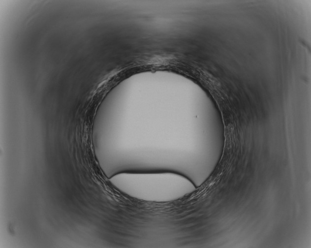 X0000097511158200802220858