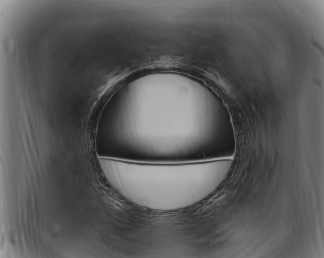 X0000097511160200802220858