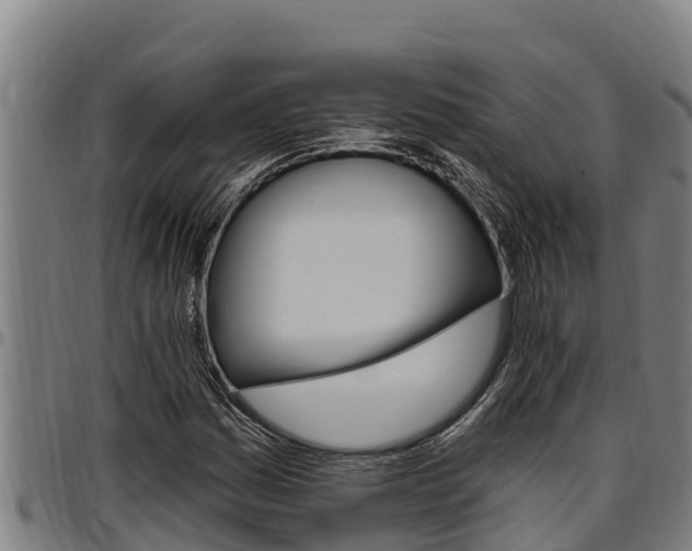 X0000097511161200802220858