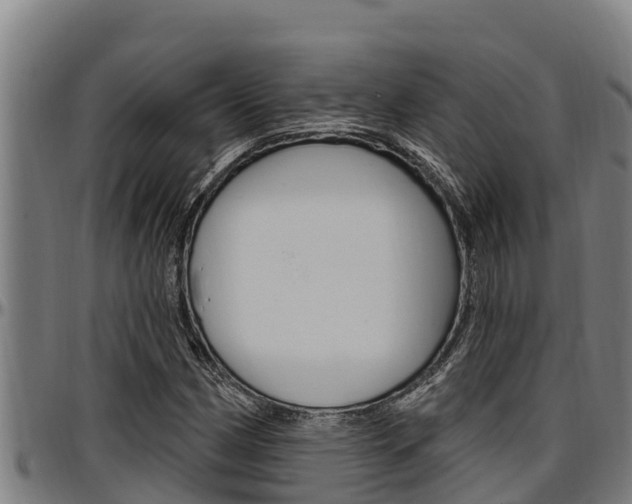 X0000097511162200802220858