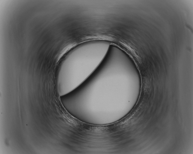X0000097511163200802220858