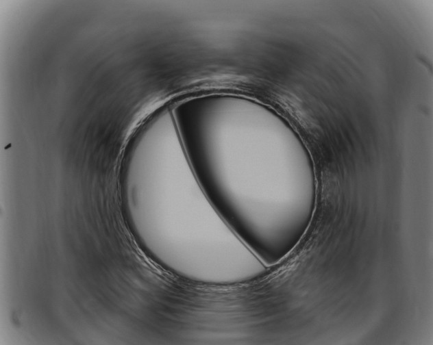 X0000097511164200802220858