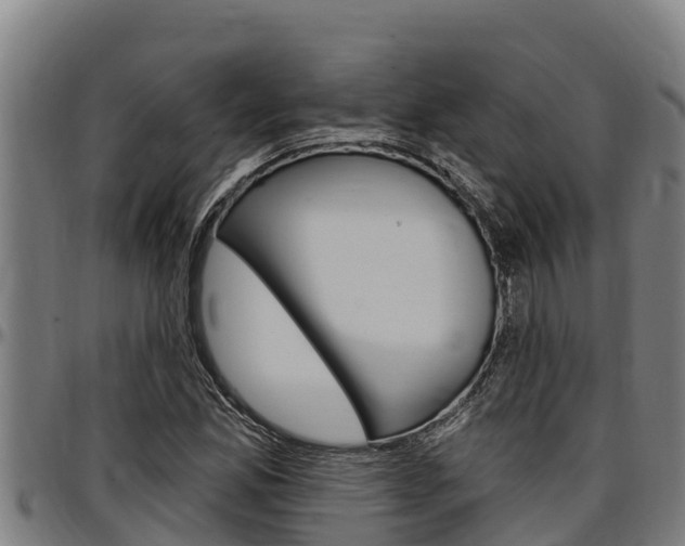 X0000097511165200802220858