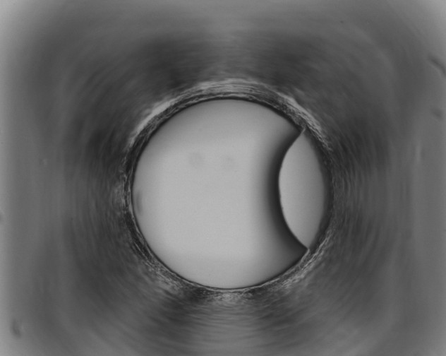 X0000097511166200802220858