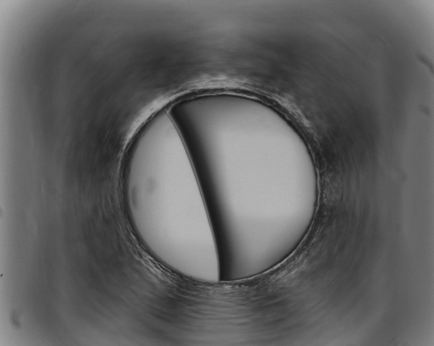 X0000097511167200802220858